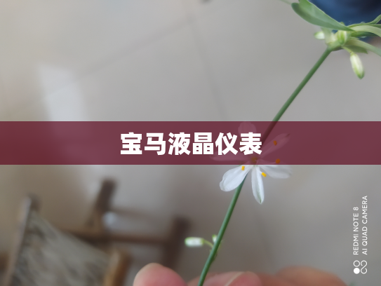 宝马液晶仪表