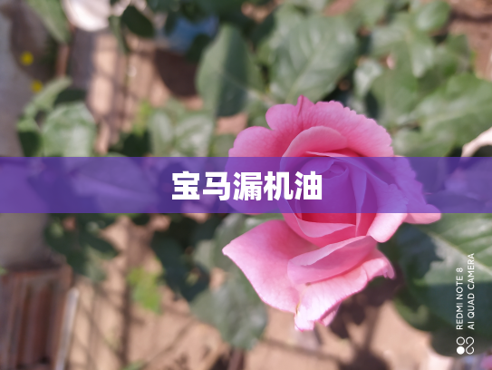 宝马漏机油