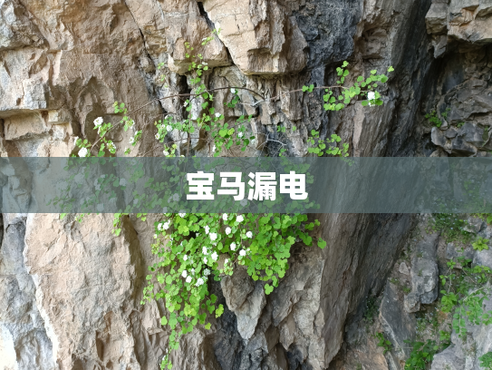 宝马漏电