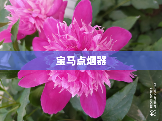 宝马点烟器