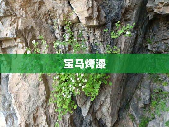 宝马烤漆