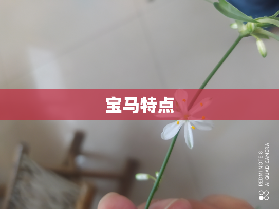 宝马特点