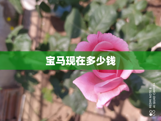宝马现在多少钱