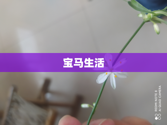 宝马生活