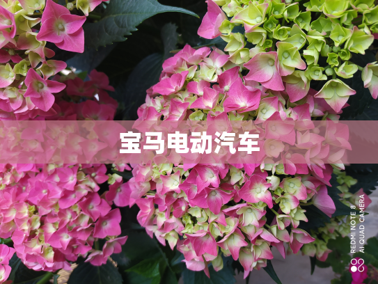 宝马电动汽车