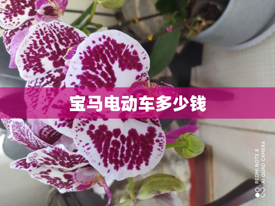宝马电动车多少钱