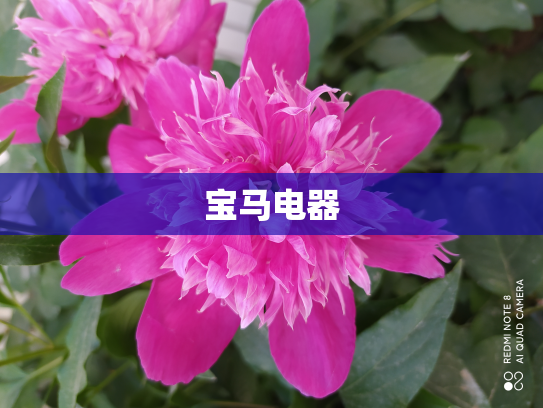 宝马电器