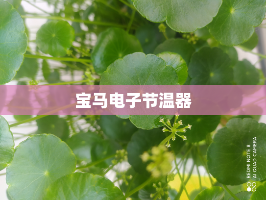 宝马电子节温器