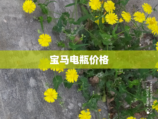 宝马电瓶价格