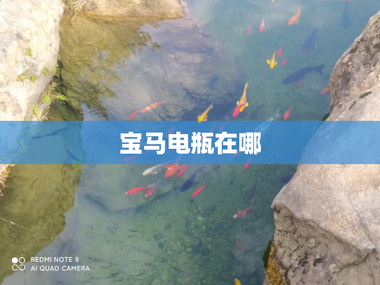 宝马电瓶在哪