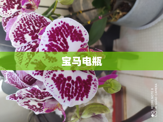 宝马电瓶