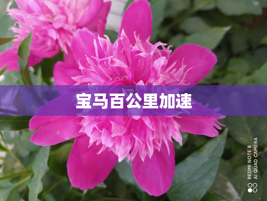 宝马百公里加速