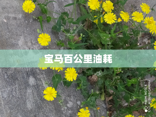 宝马百公里油耗