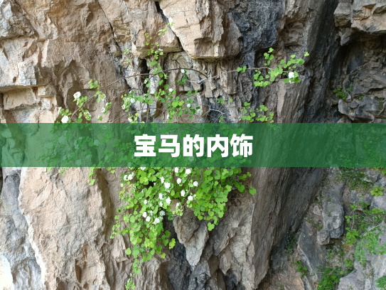宝马的内饰