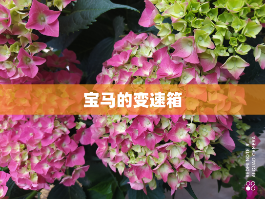 宝马的变速箱