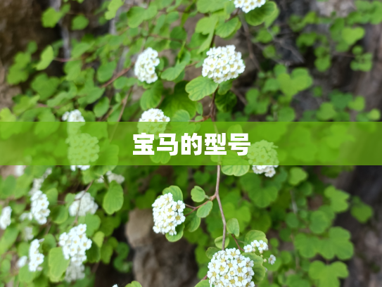 宝马的型号