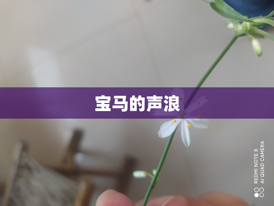 宝马的声浪