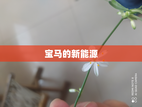 宝马的新能源