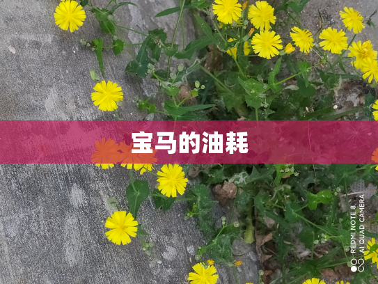 宝马的油耗