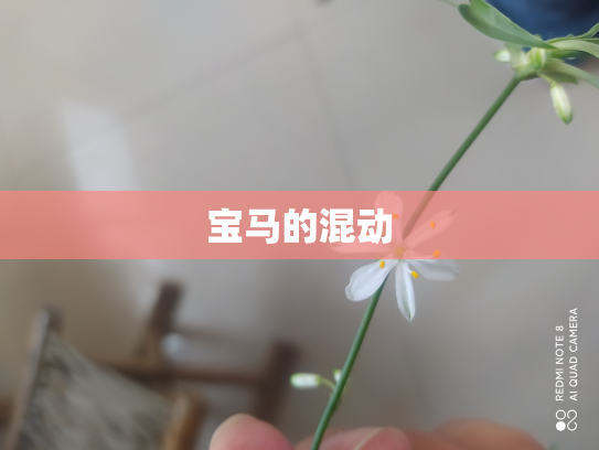 宝马的混动