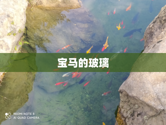 宝马的玻璃