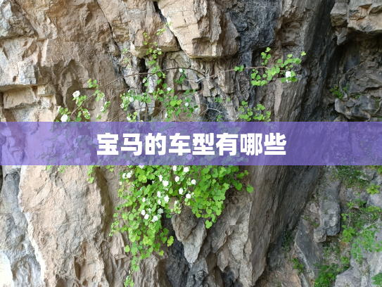 宝马的车型有哪些
