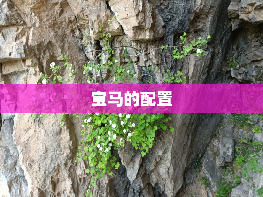 宝马的配置