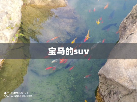 宝马的suv