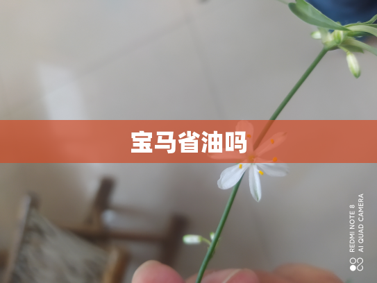 宝马省油吗