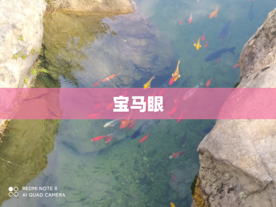 宝马眼