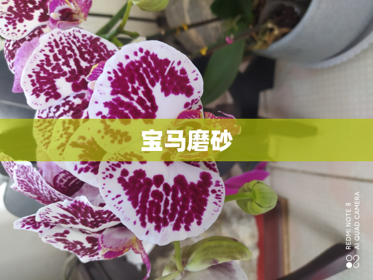 宝马磨砂