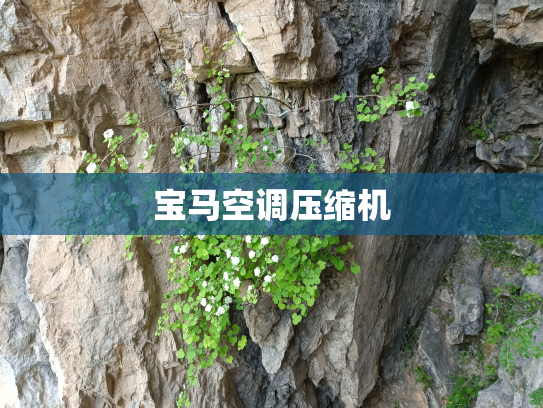 宝马空调压缩机