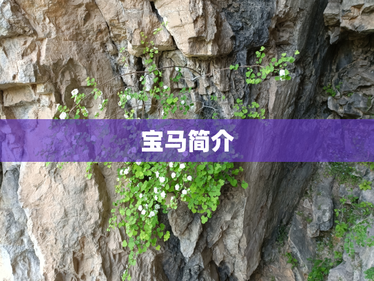 宝马简介