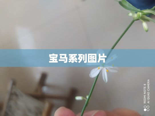 宝马系列图片