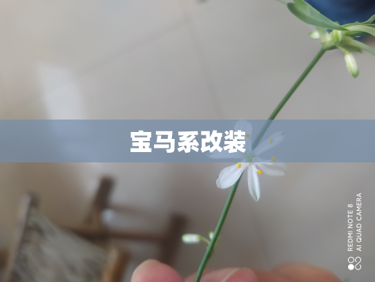 宝马系改装