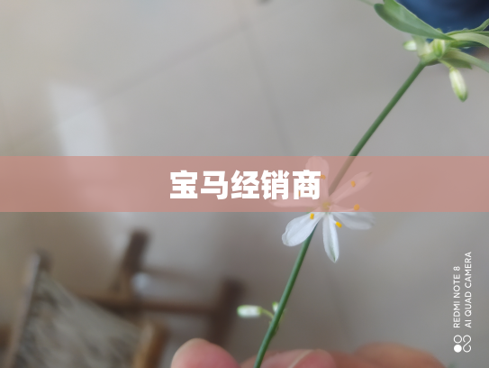 宝马经销商