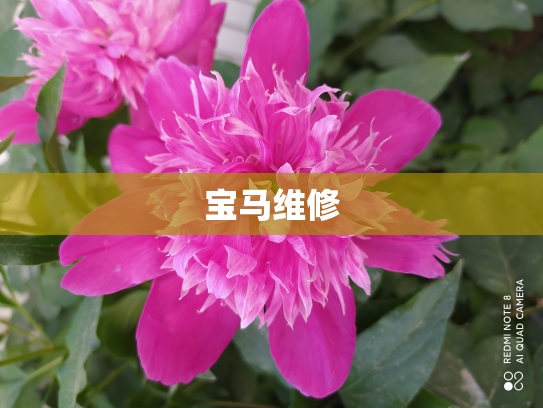 宝马维修