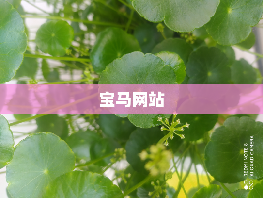 宝马网站