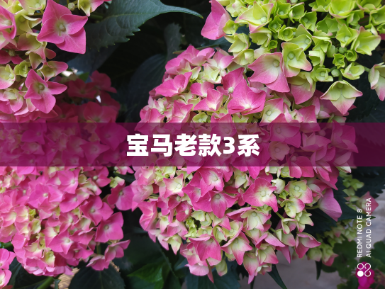 宝马老款3系