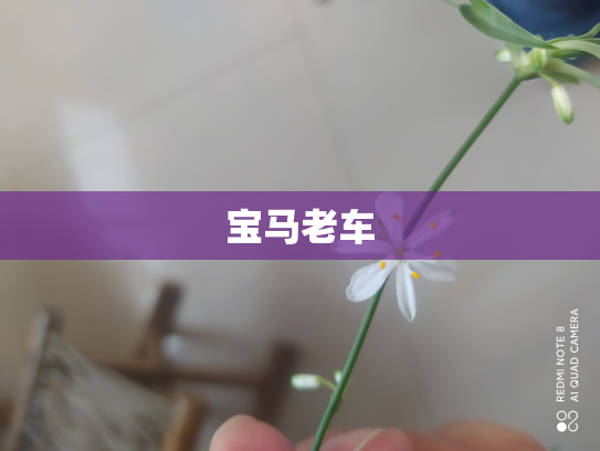 宝马老车