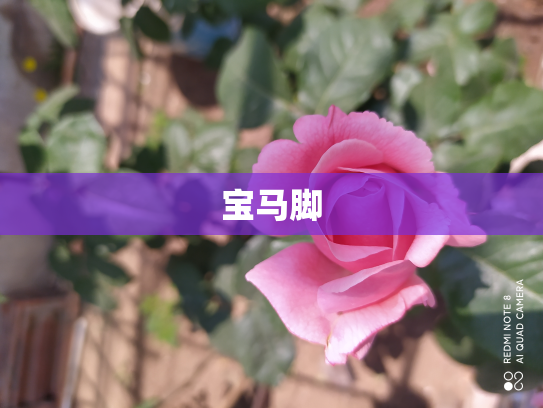 宝马脚