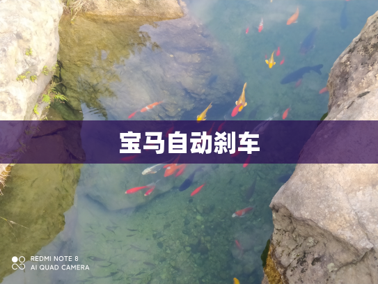 宝马自动刹车