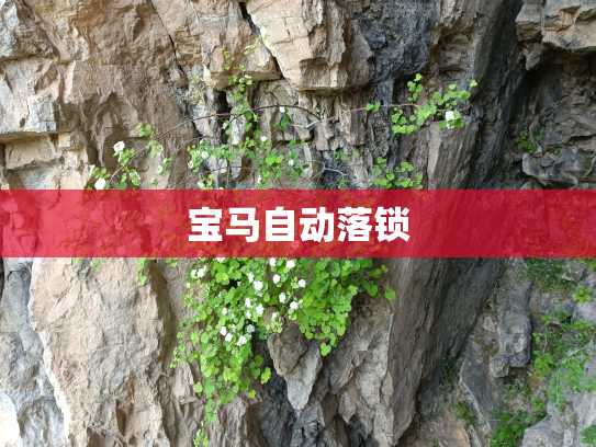 宝马自动落锁