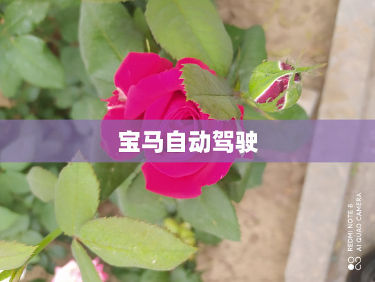宝马自动驾驶