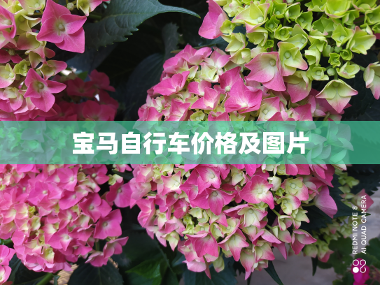 宝马自行车价格及图片