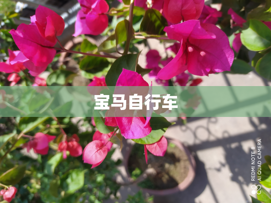 宝马自行车
