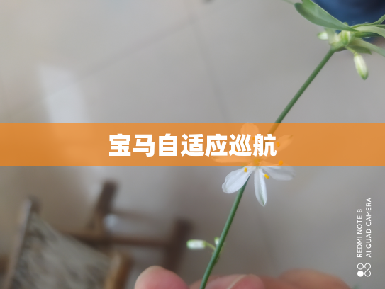 宝马自适应巡航