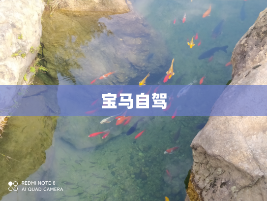宝马自驾
