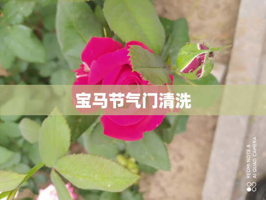 宝马节气门清洗