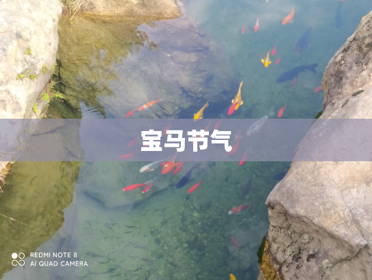 宝马节气